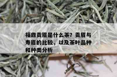 福鼎贡眉是什么茶？贡眉与寿眉的比较，以及茶叶品种和种类分析