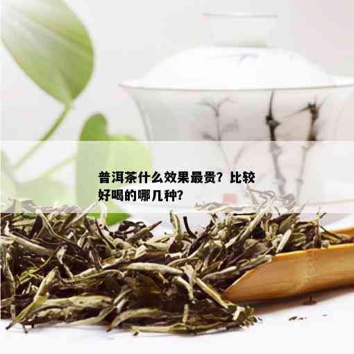 普洱茶什么效果最贵？比较好喝的哪几种？