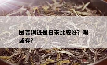 囤普洱还是白茶比较好？喝或存？