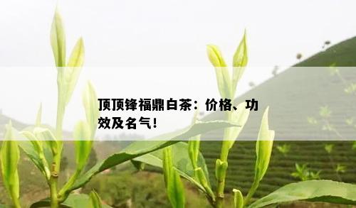 顶顶锋福鼎白茶：价格、功效及名气！