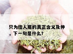 只为佳人眉的真正含义及伸，下一句是什么？