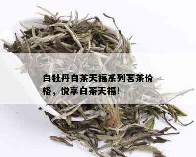 白牡丹白茶天福系列茗茶价格，悦享白茶天福！