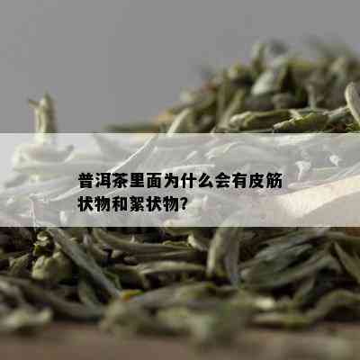 普洱茶里面为什么会有皮筋状物和絮状物？