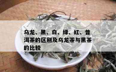 乌龙、黑、白、绿、红、普洱茶的区别及乌龙茶与黑茶的比较