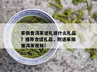 采摘普洱茶送礼送什么礼品？推荐合适礼品，附送采摘普洱茶视频！