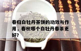 春归白牡丹茶饼的功效与作用，春秋哪个白牡丹春茶更好？