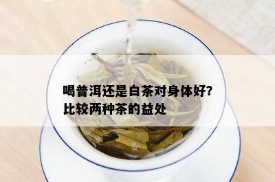 喝普洱还是白茶对身体好？比较两种茶的益处