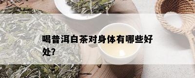 喝普洱白茶对身体有哪些好处？