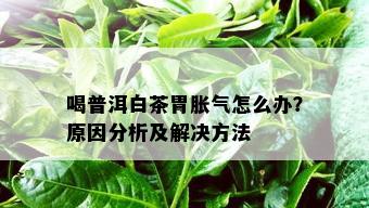 喝普洱白茶胃胀气怎么办？原因分析及解决方法