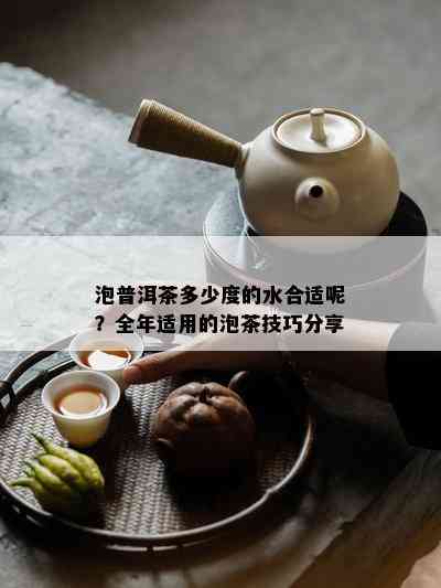 泡普洱茶多少度的水合适呢？全年适用的泡茶技巧分享