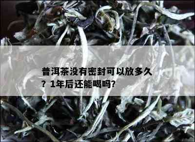 普洱茶没有密封可以放多久？1年后还能喝吗？