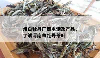 州白牡丹厂商电话及产品，了解河南白牡丹茶叶