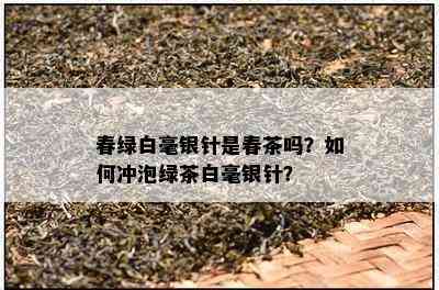 春绿白毫银针是春茶吗？如何冲泡绿茶白毫银针？