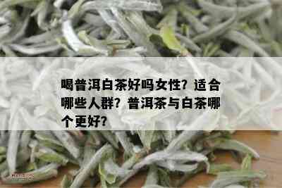 喝普洱白茶好吗女性？适合哪些人群？普洱茶与白茶哪个更好？