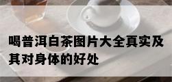 喝普洱白茶图片大全真实及其对身体的好处