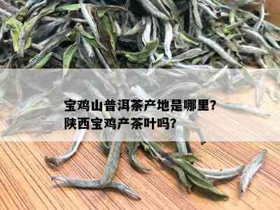 宝鸡山普洱茶产地是哪里？陕西宝鸡产茶叶吗？