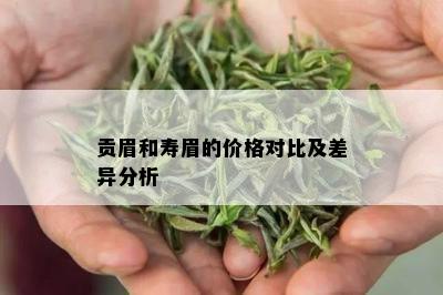 贡眉和寿眉的价格对比及差异分析