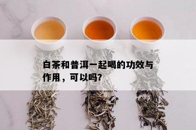 白茶和普洱一起喝的功效与作用，可以吗？