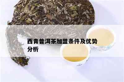 西青普洱茶加盟条件及优势分析