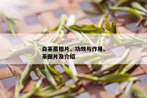 白茶眉相片、功效与作用、茶图片及介绍