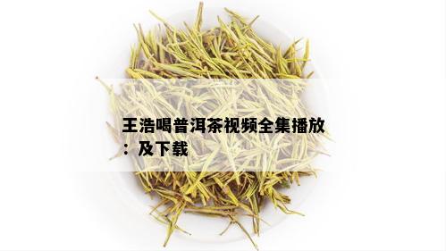 王浩喝普洱茶视频全集播放：及下载