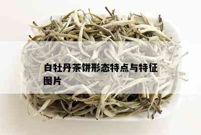 白牡丹茶饼形态特点与特征图片