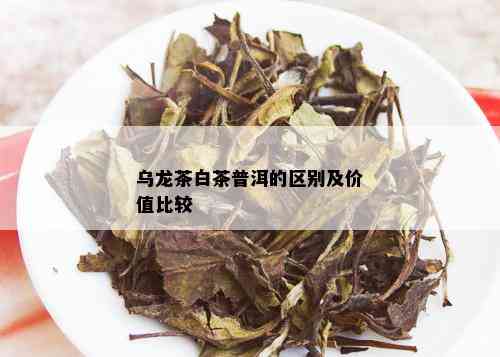 乌龙茶白茶普洱的区别及价值比较