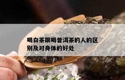 喝白茶跟喝普洱茶的人的区别及对身体的好处