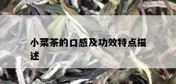 小菜茶的口感及功效特点描述