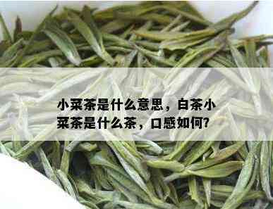 小菜茶是什么意思，白茶小菜茶是什么茶，口感如何？