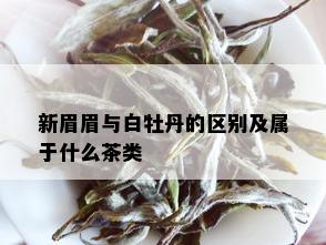 新眉眉与白牡丹的区别及属于什么茶类