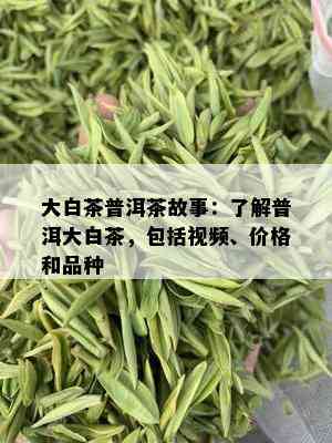 大白茶普洱茶故事：了解普洱大白茶，包括视频、价格和品种