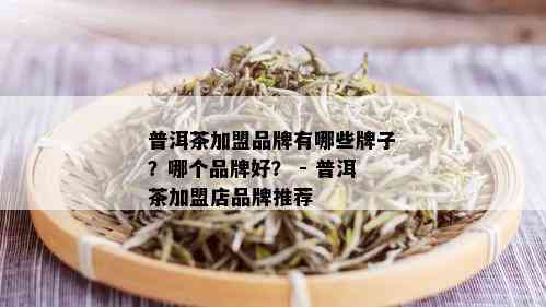 普洱茶加盟品牌有哪些牌子？哪个品牌好？ - 普洱茶加盟店品牌推荐