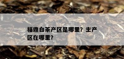 福鼎白茶产区是哪里？主产区在哪里？