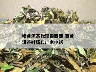 崇普洱茶代理招商部-西普洱茶叶场和厂家电话