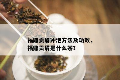 福鼎贡眉冲泡方法及功效，福鼎贡眉是什么茶？