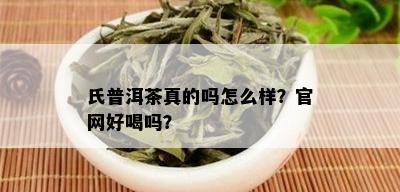 氏普洱茶真的吗怎么样？官网好喝吗？