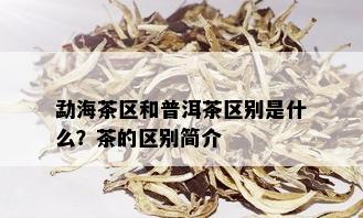 勐海茶区和普洱茶区别是什么？茶的区别简介