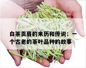 白茶贡眉的来历和传说：一个古老的茶叶品种的故事