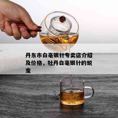 丹东市白毫银针专卖店介绍及价格，牡丹白毫银针的蜕变