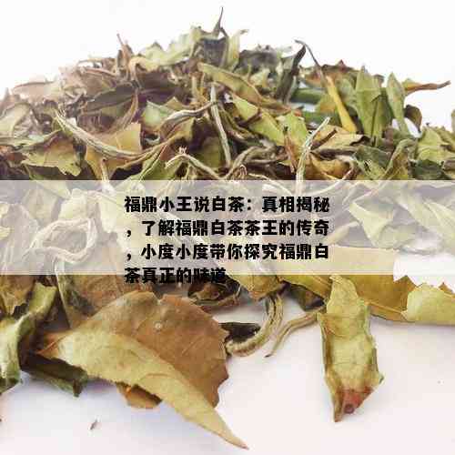 福鼎小王说白茶：真相揭秘，了解福鼎白茶茶王的传奇，小度小度带你探究福鼎白茶真正的味道