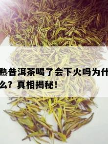 熟普洱茶喝了会下火吗为什么？真相揭秘！