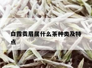 白露贡眉属什么茶种类及特点