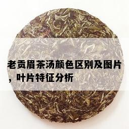 老贡眉茶汤颜色区别及图片，叶片特征分析