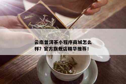 云南普洱茶小程序商城怎么样？官方旗舰店精华推荐！