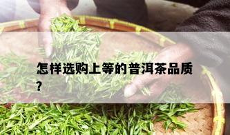 怎样选购上等的普洱茶品质？