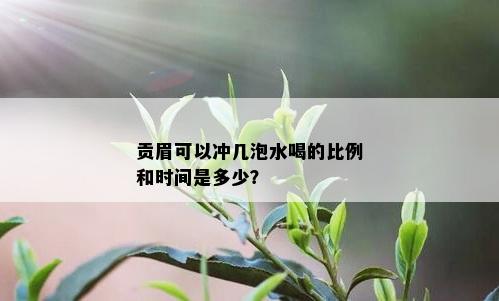 贡眉可以冲几泡水喝的比例和时间是多少？