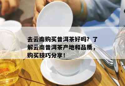 去云南购买普洱茶好吗？了解云南普洱茶产地和品质，购买技巧分享！