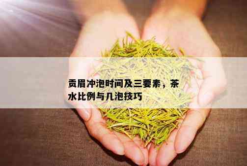 贡眉冲泡时间及三要素，茶水比例与几泡技巧