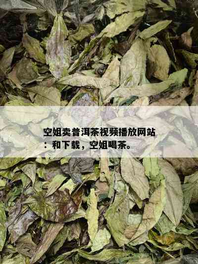 空姐卖普洱茶视频播放网站：和下载，空姐喝茶。